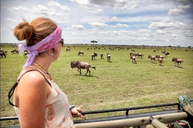 4-Day Basic Safari with Serengeti, Ngorongoro, & Tarangire - Price and logistics: what’s included, what isn’t, and how to plan smarter