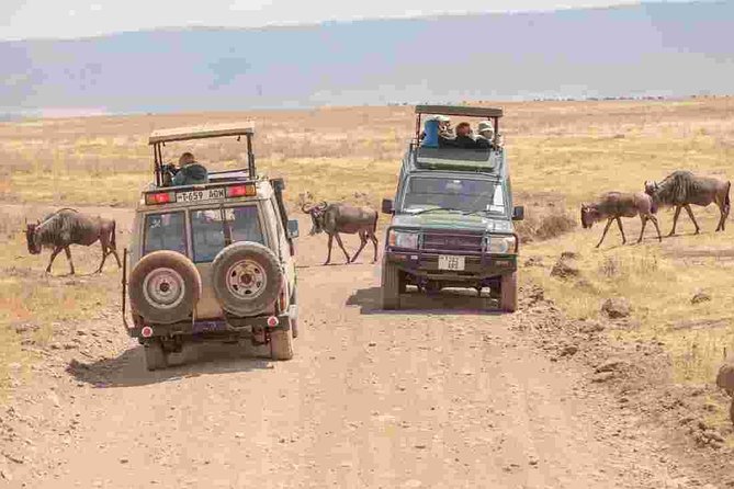 4-Day Basic Safari with Serengeti, Ngorongoro, & Tarangire - Tarangire first: baobabs, river life, and elephant attention
