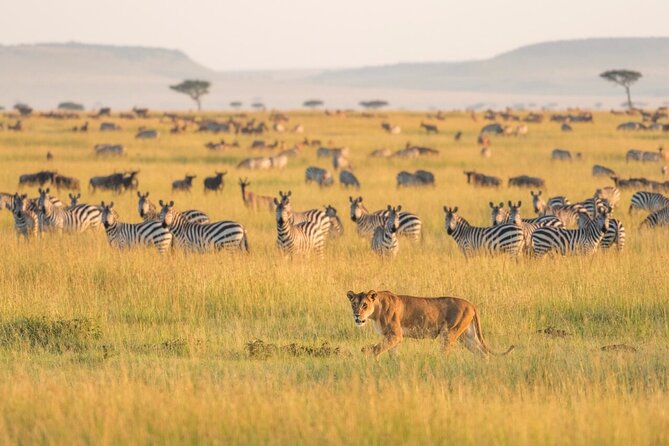 4-Day Budget Tarangire, Serengeti, Ngorongoro Safari Guided Tour - Key Things That Make This Safari Worth Your Time
