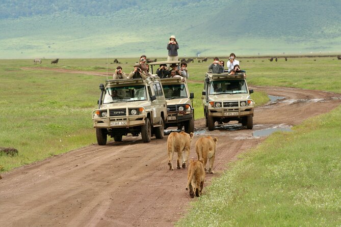 4-Day Camping on the Big Five Private Safari - Ngorongoro Crater Descent: The Best Shot at Black Rhino