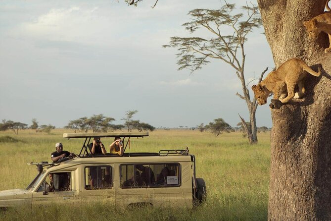 4 Day Great Migration Safari Serengeti & Ngorongoro Crater - Serengeti and Ngorongoro in 4 Days, Not a Week