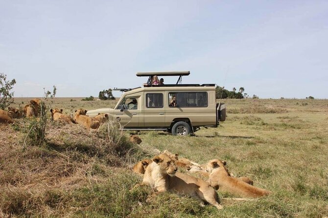 4 Day Great Migration Safari Serengeti & Ngorongoro Crater - Lodging, Meals, and the Hospitality People Keep Mentioning