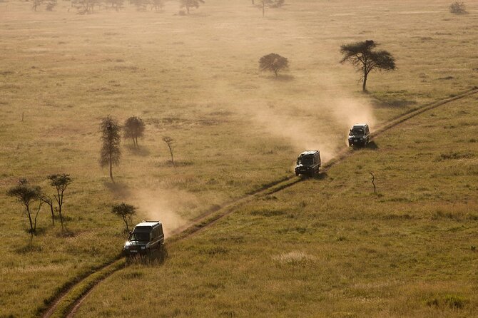 4 Day Great Migration Safari Serengeti & Ngorongoro Crater - Price and Value: What Your $2,680 Actually Covers