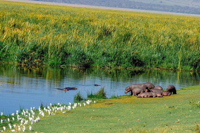 4-Day Group Joining Safari in Tanzania | Shared Safari - Tarangire National Park: elephants, baobabs, and a dry-season feel