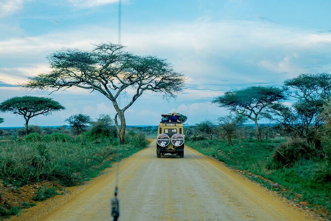 4-Day Group Joining Safari in Tanzania | Shared Safari - Who this shared safari suits best