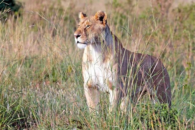 4-Day Group Tour to Tarangire, Serengeti, Ngorongoro - Lodge - Lodges and comfort: how sleep quality affects a safari
