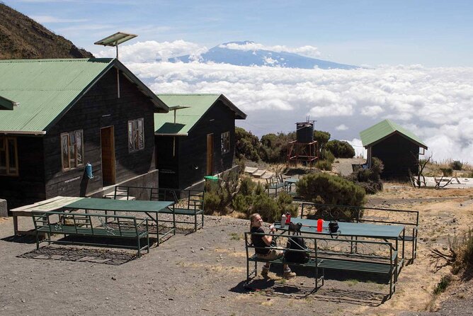 4 Day: Hiking Mount Meru - Day 1: Momella Gate to the first high campsite and a walking safari vibe