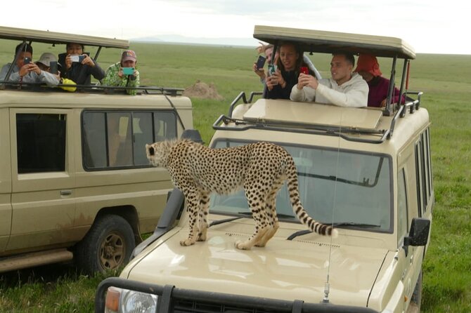 4-Day Lodge Private Tour to Tarangire, Serengeti and Ngorongoro - Day 4 Ngorongoro descent: the bowl for Big Five and flamingos