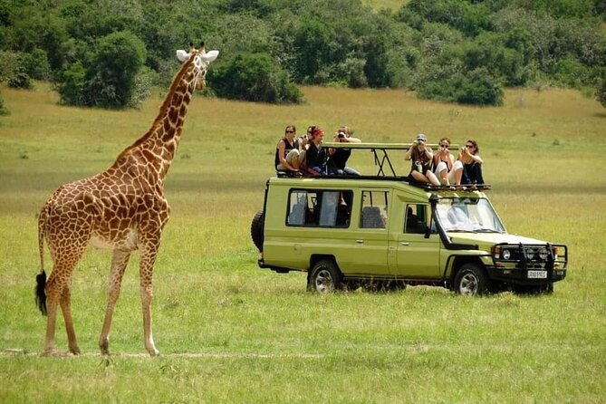 4-Day Majestic Group Tour in Safari - Ngorongoro Crater Morning Descent: Big Five Chances and a Flamingo Lunch