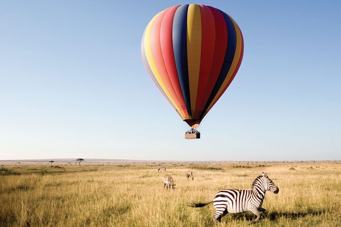 4-Day Manyara Serengeti and Ngorongoro Wonders Budget Safari Tour - Pickup, small-group comfort, and why the jeep setup matters