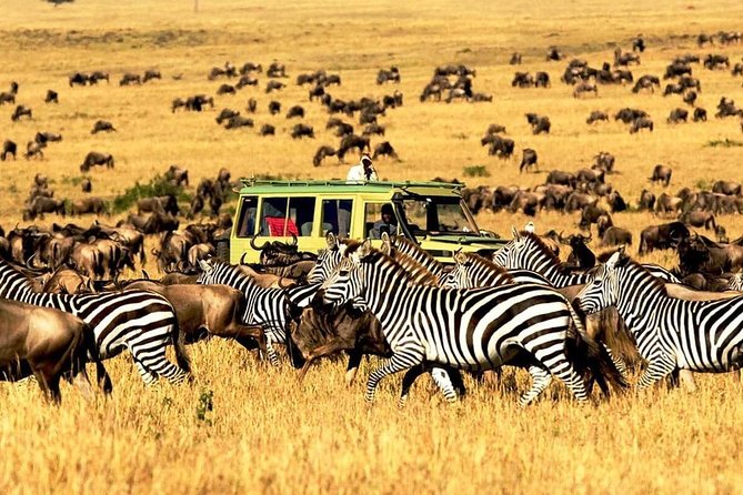 4 Day Mid-range Private Roundtrip Flying from Zanzibar - Zanzibar to Serengeti by charter: fast, but keep your mornings ready