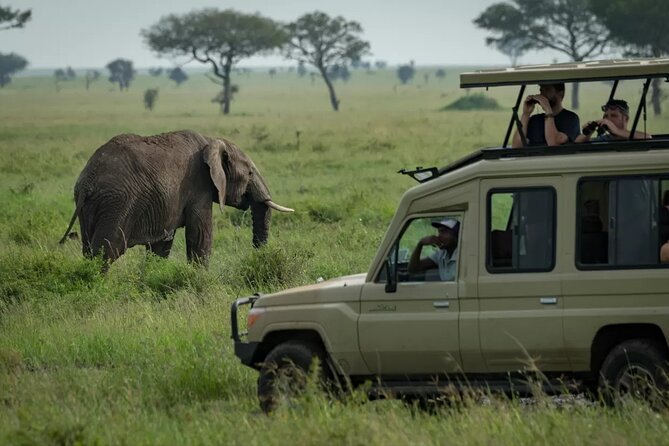 4 Day Ngorongoro Crater Tarangire and Serengeti National Park - Campsites and food: the real comfort scorecard