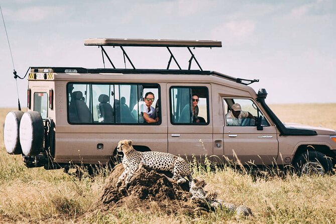4 Day Ngorongoro Crater Tarangire and Serengeti National Park - What to watch for: pacing, weather, and luck factors