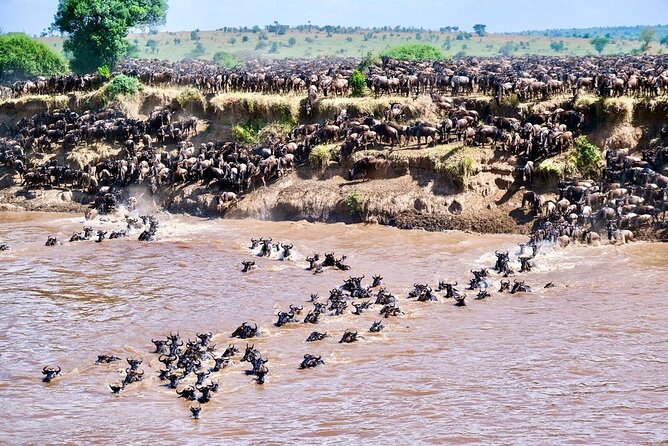 4-Day Northern Tanzania Camping Tour Safari - Day 1 Arusha pickup and an easy overnight start