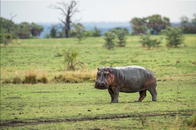 4-Day Private Lake Natron and Serengeti Wildlife Safari - Entering the Route: Arusha to the Rift Valley