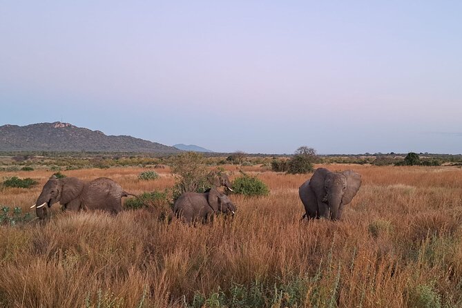 4-Day Private Lake Natron and Serengeti Wildlife Safari - Timing, weather, and your comfort choices
