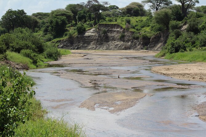 4-Day Safari in Tarangire, Serengeti & Ngorongoro (Mid-range) - Game-drive reality checks: timing, dust, and what to pack