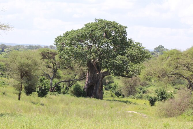 4-Day Safari in Tarangire, Serengeti & Ngorongoro (Mid-range) - Price and value: what $3,210 is buying you