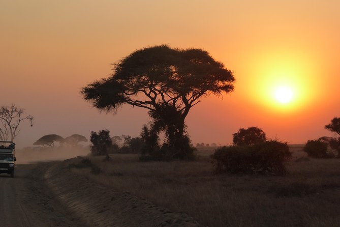 4-Day Safari: Lake Manyara, Serengeti & Ngorongoro - How This 4-Day Safari Flow Fits Together From Arusha
