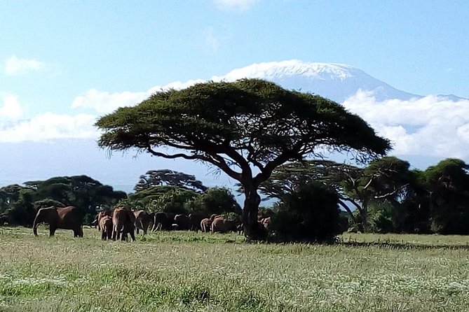4-Day Safari: Lake Manyara, Serengeti & Ngorongoro - Camping Comfort, Dinner, Breakfast, and the Real Value of Boxed Lunches