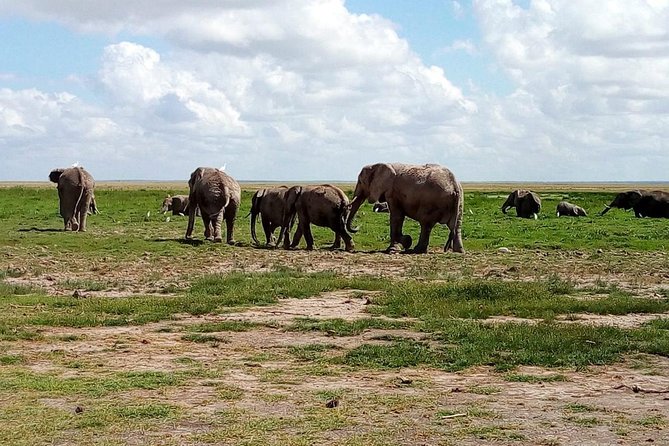 4-Day Safari: Lake Manyara, Serengeti & Ngorongoro - Day 1 Lake Manyara: Soda Lake Views, Elephants, and Tree-Climbing Lions