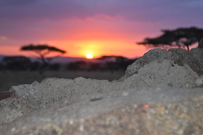 4 Day Safari- Tarangire,Ngorongoro and Serengeti - Where You Stay: Tloma Lodge and Acacia Central Camp
