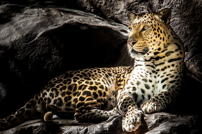 4 Day Safari- Tarangire,Ngorongoro and Serengeti - Tarangire National Park: Elephants, Birds, and Baobab Country