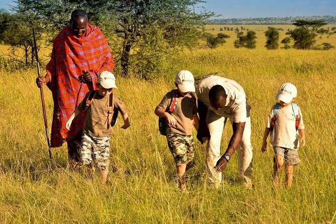 4-Day Safari to Tarangire ,Serengeti and Ngorongoro crater from Arusha - Day 3 Sunrise Drive in Serengeti, Then Simba Campsite in Ngorongoro