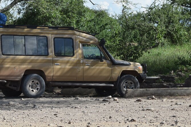 4-Day Safari to Tarangire ,Serengeti and Ngorongoro crater from Arusha - Guides, Drivers, and How Much the Human Factor Matters