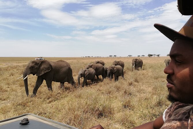 4-Day Safari to Tarangire, Serengeti and Ngorongoro from Arusha - Join a group - Value and price: what you’re paying for, and what you need to budget