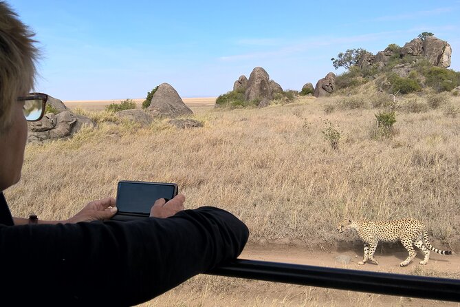 4-Day Safari to Tarangire, Serengeti and Ngorongoro from Arusha - Join a group - Serengeti on purpose: two days for big cat odds