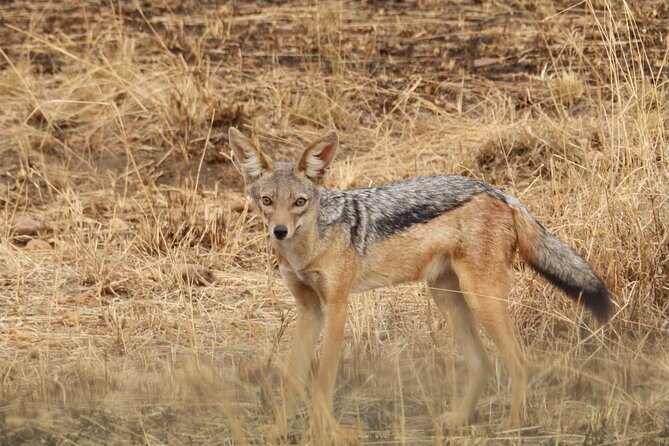 4 Day Serengeti and Ngorongoro crater - Price and value, what you get for about $1,980 per person
