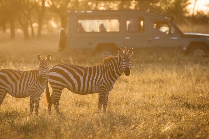 4-Day Serengeti, Ngorongoro, & Lake Manyara Budget Tour - Why This 4-Day Serengeti-Ngorongoro-Manyara Route Works