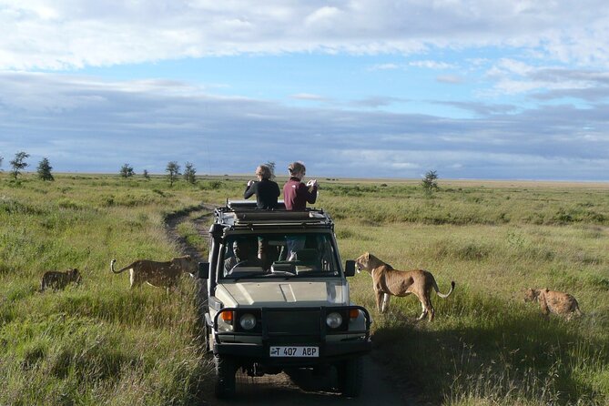 4-Day Serengeti, Ngorongoro, & Lake Manyara Budget Tour - Day 3 Ngorongoro Crater Descent and the Karatu Overnight
