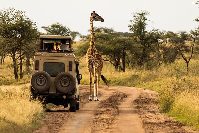 4-Day Serengeti, Ngorongoro, & Lake Manyara Budget Tour - Price of $1,317: What You’re Paying For, and What That Means