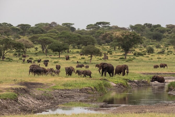 4-Day Serengeti, Ngorongoro, & Lake Manyara Budget Tour - Getting From Arusha: Early Starts and the Real Timing