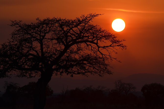 4 Day Serengeti & Ngorongoro Safari Wildlife Wonders of Tanzania - Private Safari or Joining Safari, What Changes for You