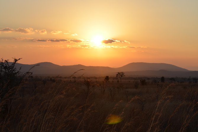 4 Day Serengeti & Ngorongoro Safari Wildlife Wonders of Tanzania - Ngorongoro Crater: Two Drives, One Concentrated World