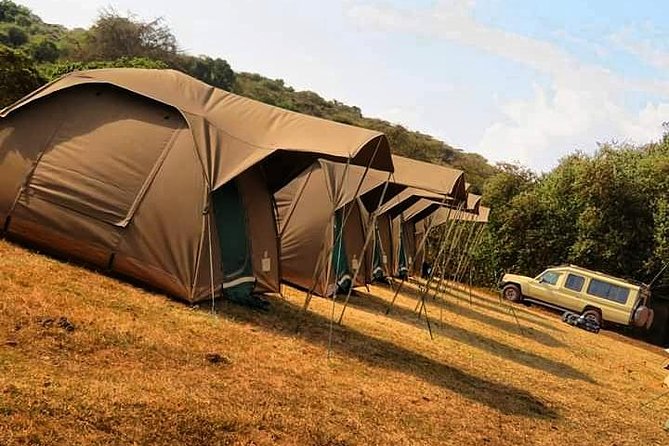 4-Day Serengeti, Ngorongoro,Tarangire safari - Ngorongoro Crater: Big Five odds in a concentrated world