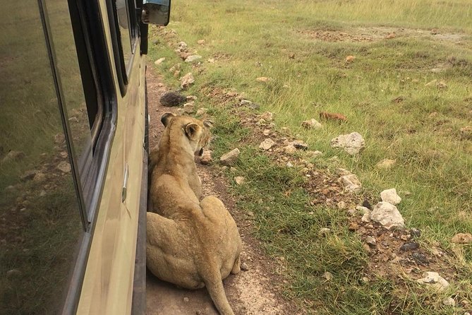4-Day Serengeti, Ngorongoro,Tarangire safari - Tarangire National Park: elephant herds and river-season surprises