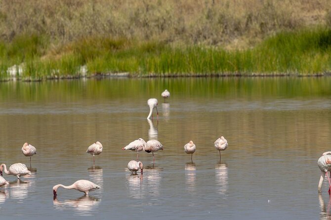 4 Day Tanzania Afordable Safari ft Two Night Serengeti - Ngorongoro Crater day: the 600-plus meter descent