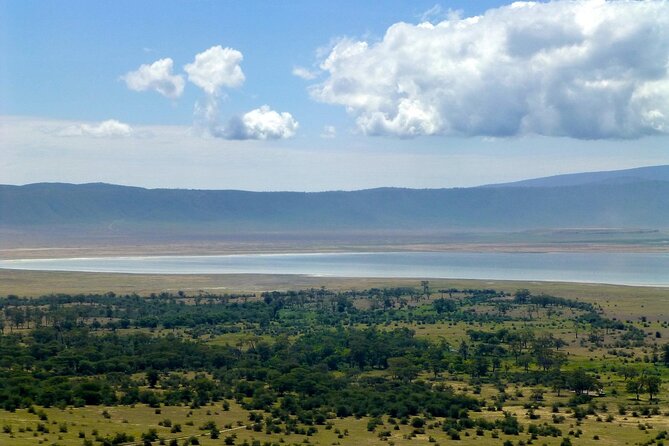 4 Day Tanzania Afordable Safari ft Two Night Serengeti - How much does it cost, and what’s the value?