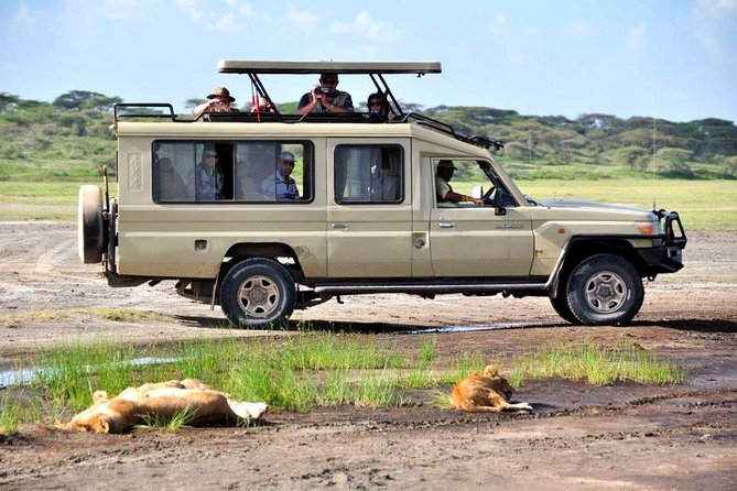 4-Day Tanzania Camping Safari to Lake Manyara, Serengeti, and Ngorongoro Crater - Day 3 from Serengeti to Ngorongoro: early start and a rim arrival
