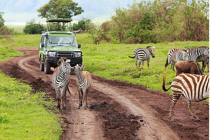 4-Day Tanzania Camping Safari to Lake Manyara, Serengeti, and Ngorongoro Crater - Camping basics: tents, mattresses, and the reality of sleeping outdoors