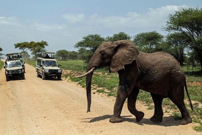 4-Day Tanzania Camping Safari to Lake Manyara, Serengeti, and Ngorongoro Crater - Meals and picnic lunches: less time off, more time on