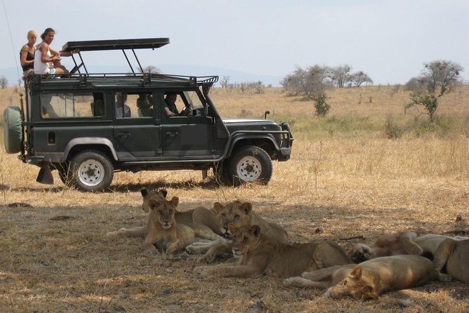 4-Day Tanzania Camping Safari to Lake Manyara, Serengeti, and Ngorongoro Crater - Price and value at $1,675: what you are buying besides driving