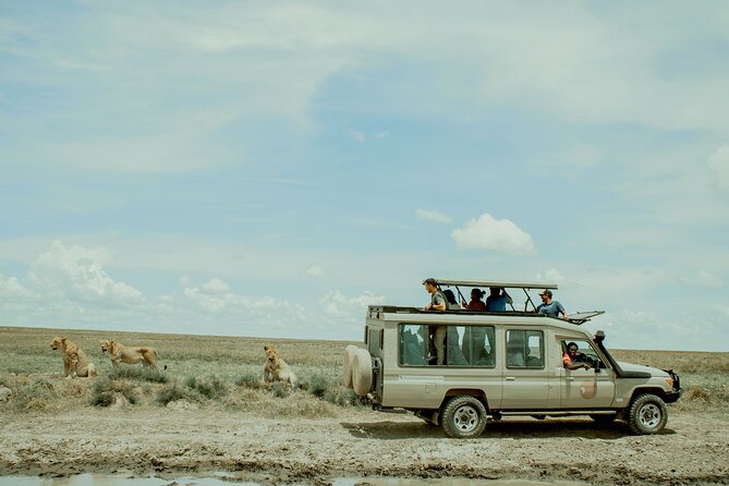4 Day Tanzania Luxury Safari - Who this 4-day Tanzania luxury safari is best for