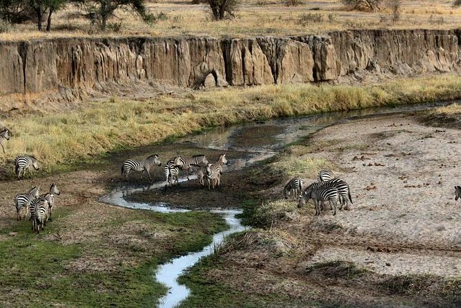 4 Day Tanzania Luxury Safari - FAQ