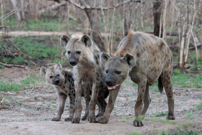 4 Day Tanzania Luxury Safari - Olduvai Gorge en route: a necessary brain break before the crater