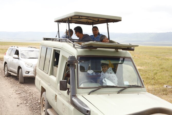 4-Day Tanzania Private Luxury Drive In-Drive Out Safari 2025-2026 - Day 2 in Serengeti: Sunrise Hunting Energy and a Full Game-Drive Day